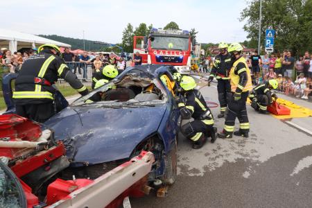 DAN ZAŠČITE IN REŠEVANJA 31 FOTO LJUBO VUKELIČ